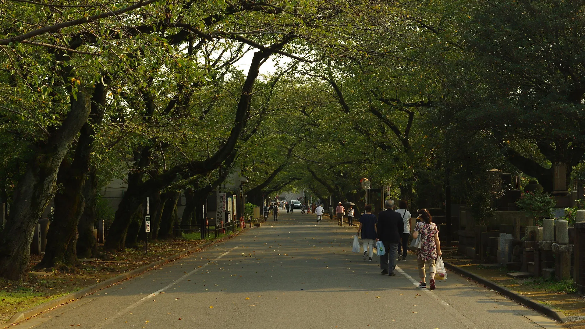 Sakura Hotel Nippori Tokyo 2*,