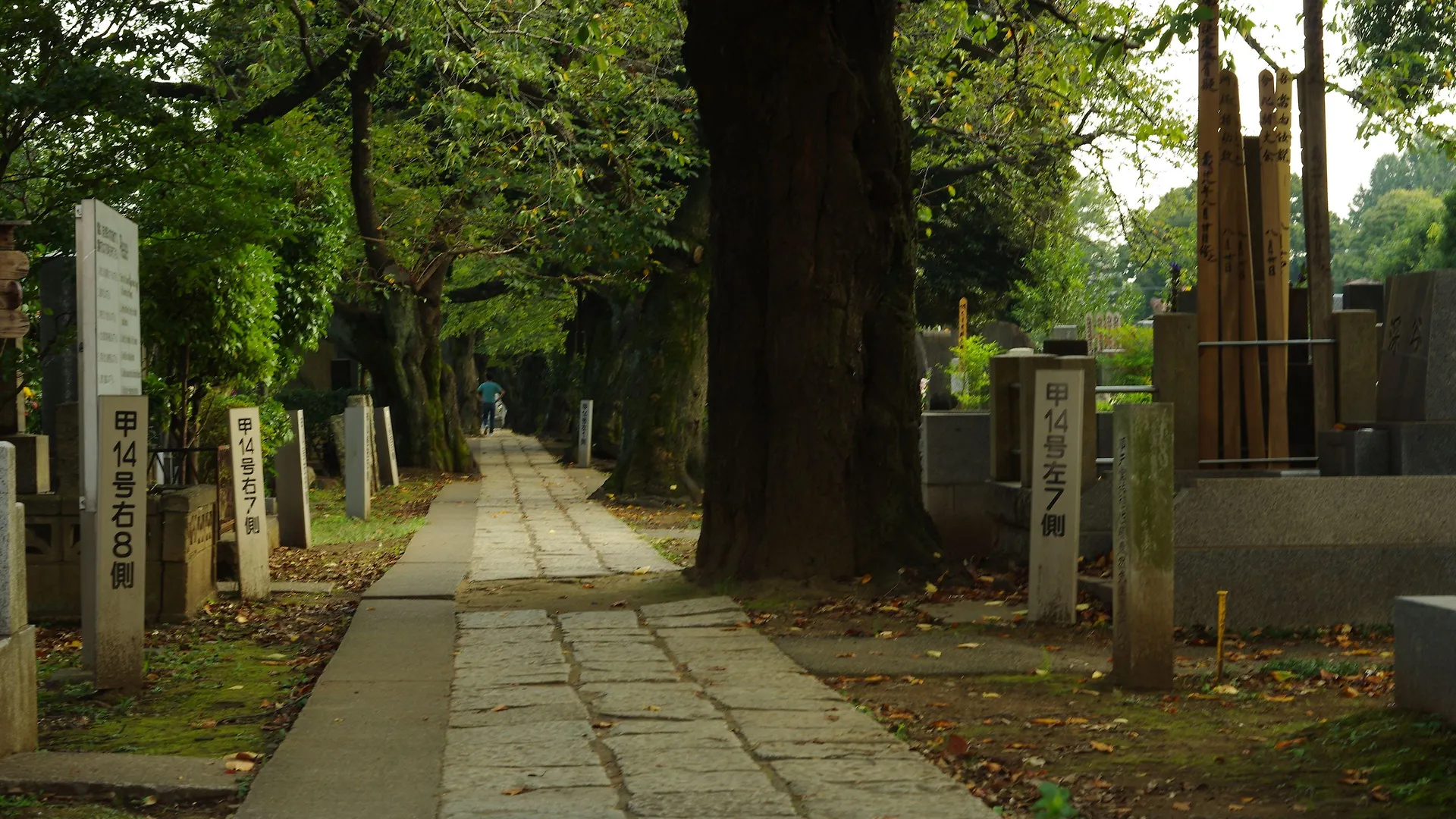 Sakura Hotel Nippori Tokyo Japan