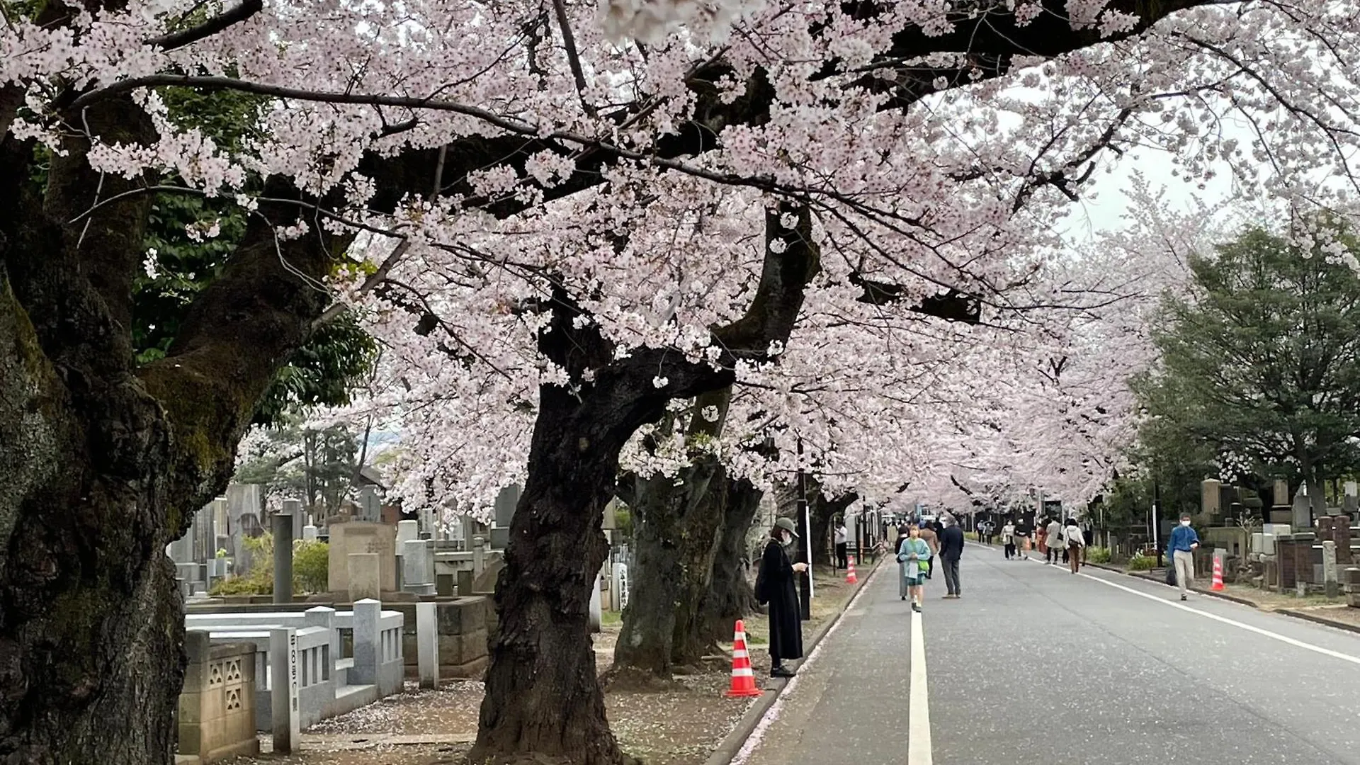 Sakura Hotel Nippori Tokyo